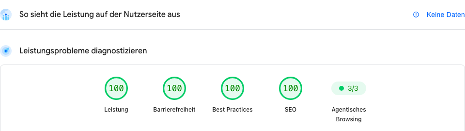 Screenshot of Google PageSpeed Insights on 21 Oct 2026 for www.riedelit.de, mobile: performance 100, accessibility 100, best practices 100, SEO 100